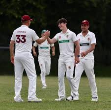 Image result for South Wilts Cricket Club