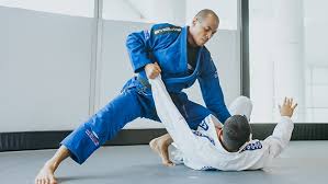 Image result for Intelligent Martial Arts