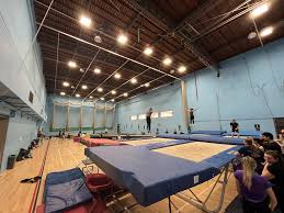 Image result for York University Gymnastics Club