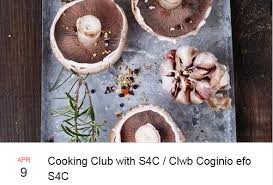 Image result for Machynlleth Bowling Club