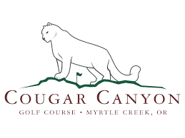 Image result for Craigavon Cougars