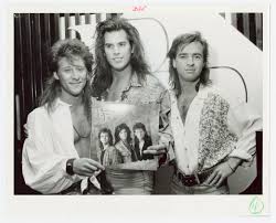 Image result for coupe longueuil