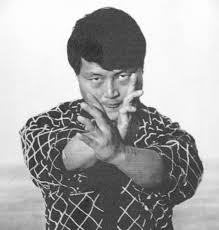 Image result for International Hapkido Bridport