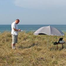Attēlu rezultāti vaicājumam “Tragopogon heterospermus bud”