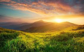 Image result for photos