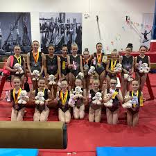 Image result for Redcar School Of Gymnastics