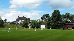 Image result for Wrecclesham Cricket Club