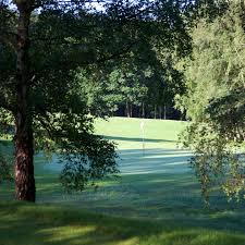 Image result for Chiddingfold Golf Club