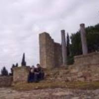 Attēlu rezultāti vaicājumam “Atrichum flavisetum sporophyte”