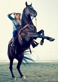 Image result for jill greenberg