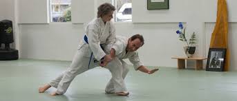 Image result for Harold Hill Aikido Club