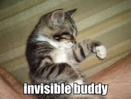 Image result for invisible cat