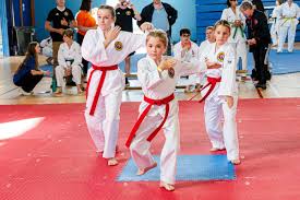 Image result for ENGLISH INTERNATIONAL ALLSTYLES TAEKWONDO