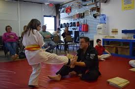Image result for Kenpo Karate Club