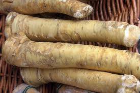 Attēlu rezultāti vaicājumam “Armoracia rusticana bud”