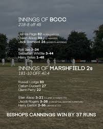 Image result for All Cannings Cricket Club