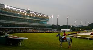 Image result for The Horse Racing Club