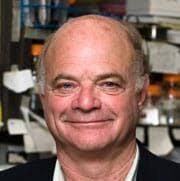 Image result for Kerbel