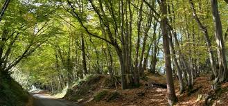 Image result for Polegate Rambling Club