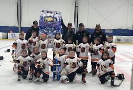 Image result for Lansdown Hockey Club