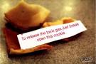 Francesco Explains It All