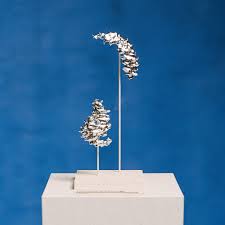 Attēlu rezultāti vaicājumam “Torrubiella arachnophila”