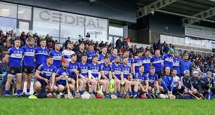 Image result for Sarsfields Hurling Club