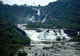 Image result for Erwadi