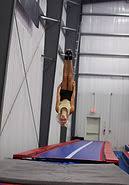 Image result for Elite Trampoline Club