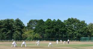 Image result for Whitchurch Wayfarers Cricket Club