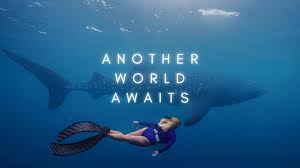 Image result for Crystal Freedivers (London)