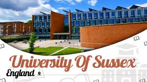 Image result for University Of Sussex