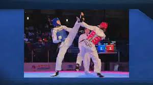 Image result for Park Place Olympic Tkd