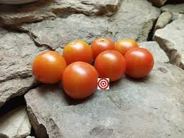 Afbeeldingsresultaat voor hawaiian white cherry tomato
