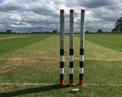 Image result for Nazeing Common Cricket Club