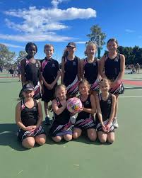 Image result for Ipswich Ladies Netball Club