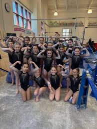 Image result for Weston Aerobic Gymnastics Club