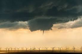 Image result for Leicester City Tornadoes