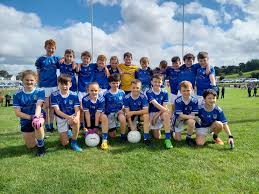 Image result for Silverbridge Harps Gac