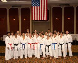 Image result for United Sport Karate