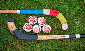 Image result for World of Shinty