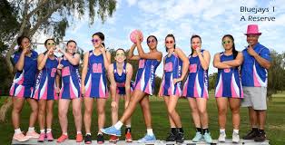 Image result for Blue Jays Netball Club
