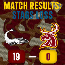 Image result for Southampton Stags