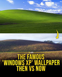 Image result for love windows xp wallpaper