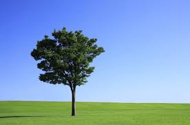 Image result for 自宅突然死 単身世帯