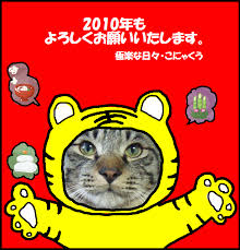 猫次郎o에 대한 이미지 검색결과