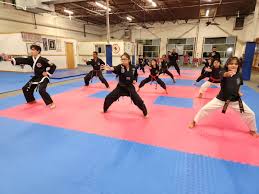 Image result for Professional  Martial Arts Academy