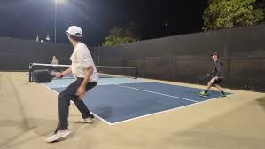 Image result for Lysander Badminton Club