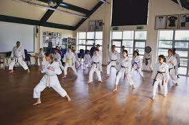 Image result for Soncho Karate Club