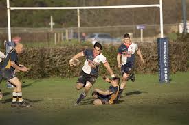 Image result for Ellingham and Ringwood Rugby Club